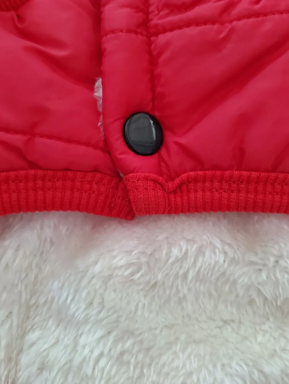 Pedgot Small Red and White Dog Jacket with Buttons w/fur Lining